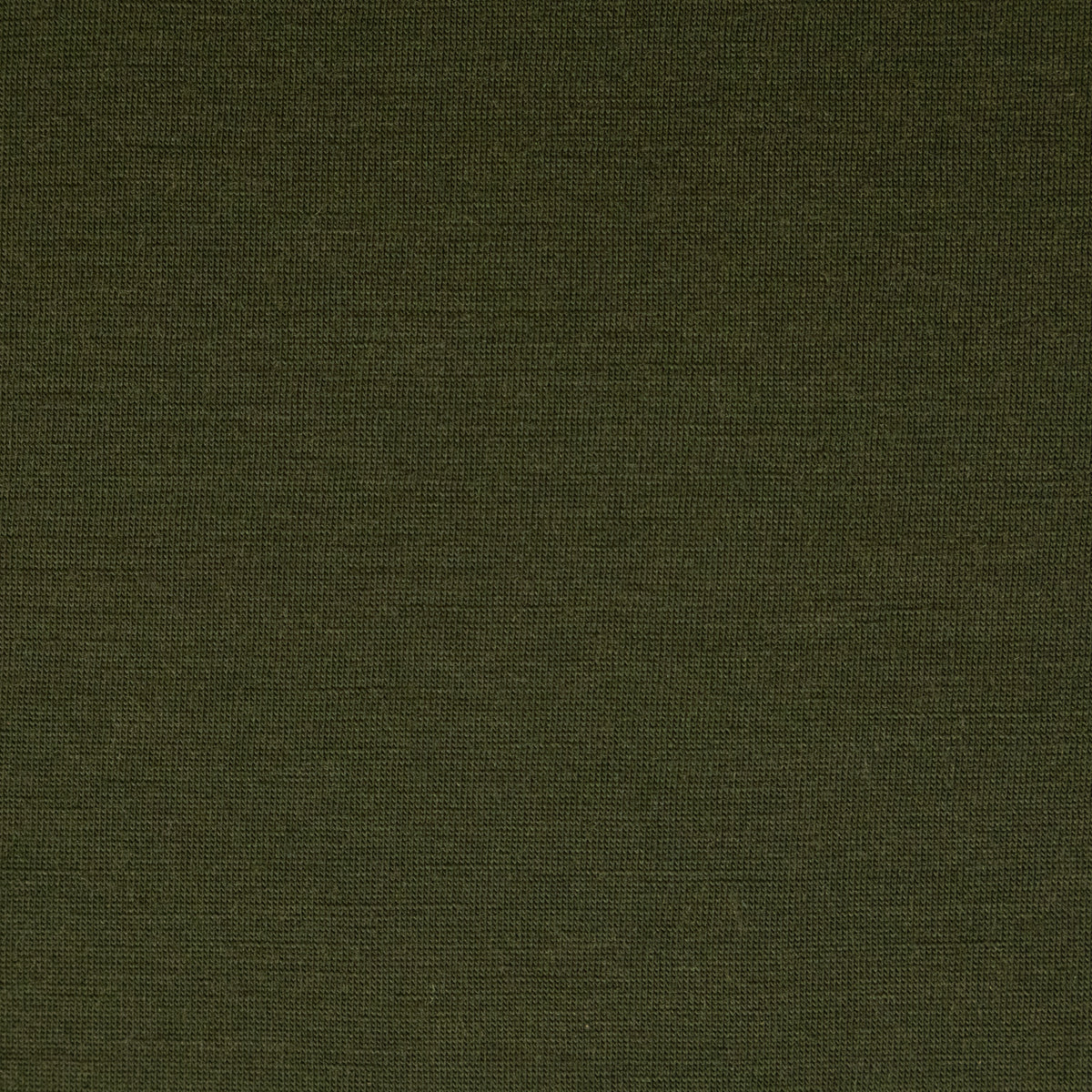 100% Australian Merino Jersey Knit 200gsm - Plantation – Fabric Box