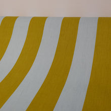 Load image into Gallery viewer, Cotton Stripe Print Deadstock - Sky & Pear