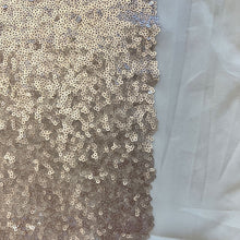 Load image into Gallery viewer, Sequins - Blush (Last Chance)
