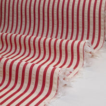 Load image into Gallery viewer, Mini Seersucker Stripe - Pink Red