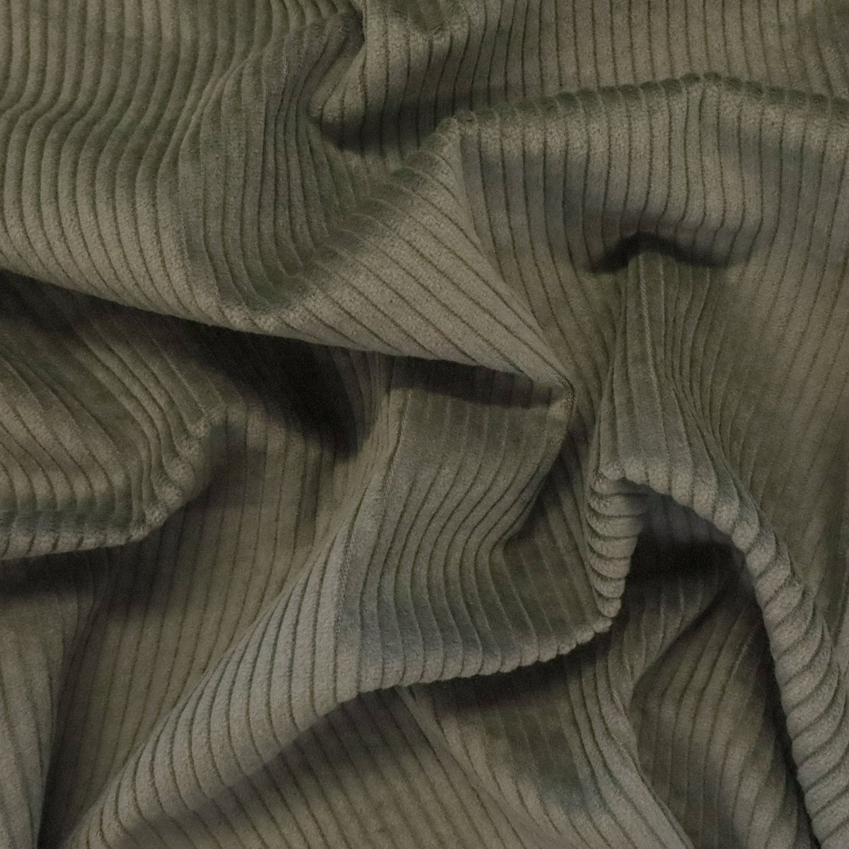 6 Wale Cotton Corduroy - Moss – Fabric Box