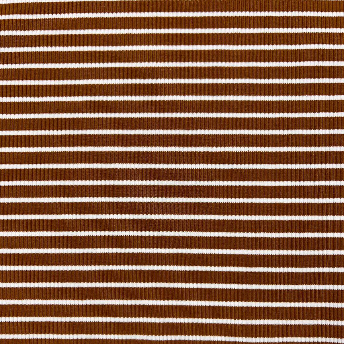 Cotton Spandex Striped Rib - Ginger & White – Fabric Box
