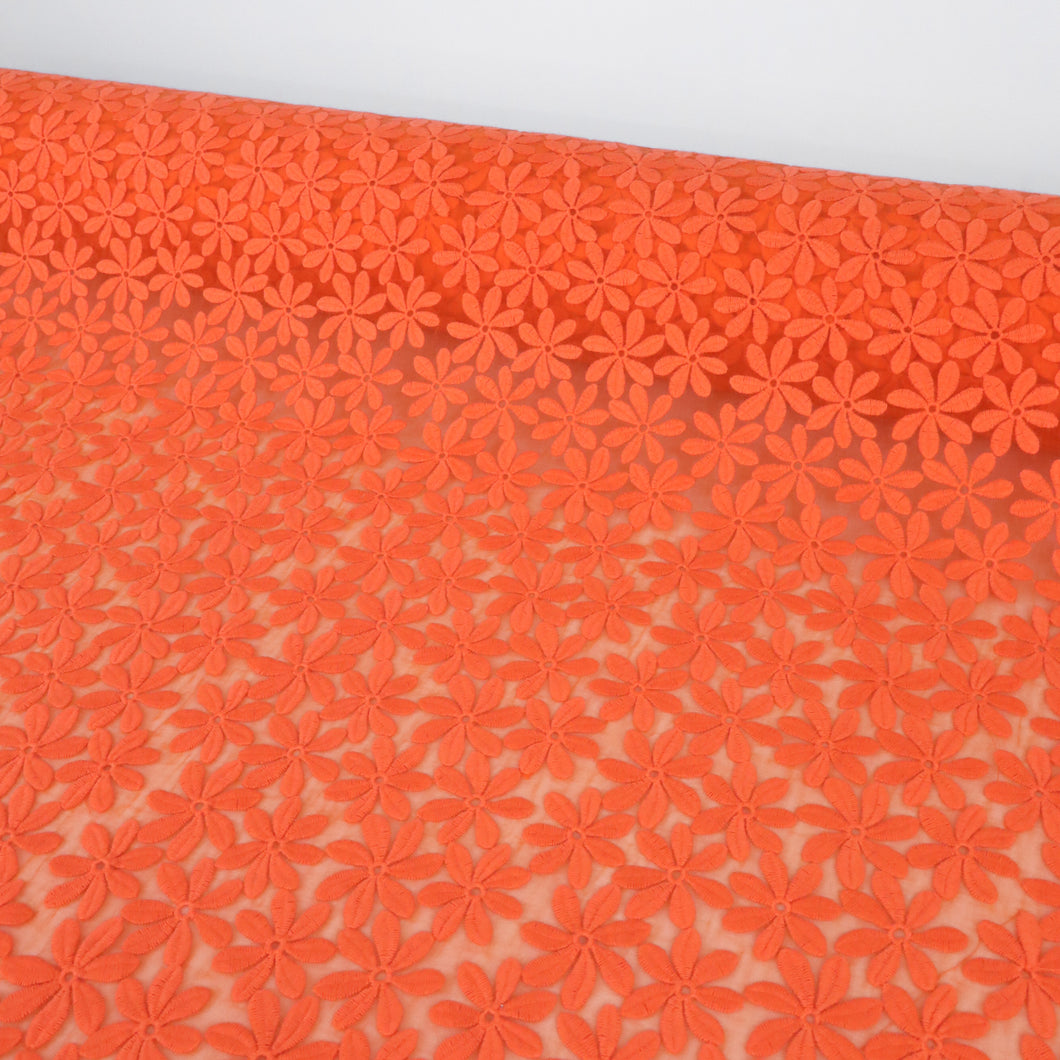 Embroidered Lace Organza Designer End – Neci Tangerine