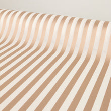 Load image into Gallery viewer, Rialto Mesh Window Stripe - Beige Pink &amp; White
