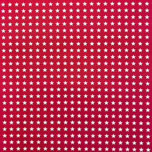 Load image into Gallery viewer, Printed Canvas - Fuchsia Star
