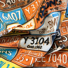 Load image into Gallery viewer, Printed Canvas - Licence Plates
